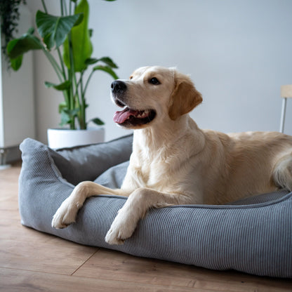 Sztruksowe legowisko dla psa COMFY