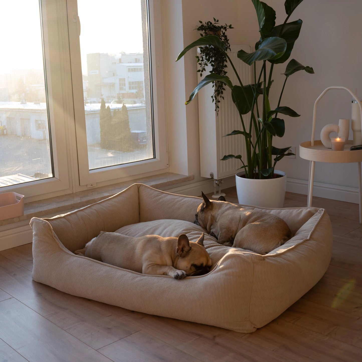Sztruksowe legowisko dla psa COMFY
